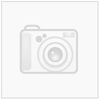 Kolnes Ryggsøyle N Transfermerke 150 mm x 465 mm